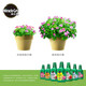 Meileke concentrated nutrient solution 9 types of horticultural flowers succulent rose potted hydroponic liquid universal flower fertilizer