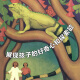 [GA] Cadillac Award Classic Picture Book: Forest Pond [US] Laura Adams Amer 97875101 ** 866