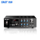 先科（SAST）AV108家用KTV功放机 蓝牙专业大功率家庭影院K歌功放机 AV108