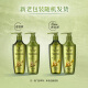 施华蔻（Schwarzkopf）生姜精华洗发露套装(洗发水600ml*2) 控油去屑净澈头皮无硅洗头膏