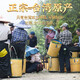 薪傳香大禹岭梨山高山乌龙茶叶中秋节送礼礼盒台湾原产300g 大禹岭2200海拔 150g*2盒
