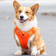 Front Pet Harness Dog Walking Traction Corgi Teddy Medium Dog Puppy Vest Type Explosion-proof Dog Harness Orange M