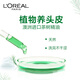 L'Oréal Ta Arbre Plante Shampooing Huile Rafraîchissement de l'huile Rafraîchissement Oil Contrôle des femmes Anti-phares pour femmes Shampooing 500 ml * 3