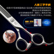 Xuanniao professional pet scissors, dental scissors, thinning scissors, 6.5-inch Teddy dog grooming and trimming scissors, 7.0-inch fish bone scissors