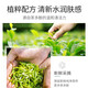 Botanical Pregnant Pregnant Makeup Remover Natural Gentle Makeup Remover Leaves on the eyes and lips for free. You can give it to your wife during the Chinese Valentine's Day Green Tea Deep Cleansing Makeup Remover 200ml