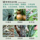East Sichuan 45% lime sulfur mixture orchard garden whitening agent powdery mildew scale insect red spider mite relic rod rot disease Qingyuan Wu5 Baumedu pesticide acaricide fungicide one box (400g*20 bags)