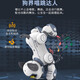 Jjric Early Education Vocation Contrôle de machine intelligente Chog Children's Toys's Garçons 3-6 ans Girls 4-5-8 ans Cadeau d'anniversaire grand programme Smart Programmation Early Education Machine Dog [Blanc] 6.1 Cadeau de la journée pour les enfants