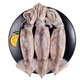 Mega fresh frozen whole large squid (2-3 pieces) net weight 550g whole squid deep sea fishing