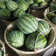 Dayu Meidu watermelon seeds are suitable for southern Kirin melon seedlings early maturing potted plants 8424 super sweet crunchy 8424 watermelon seeds 40 pieces