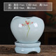 Qiantangyuan (Qian Tang Yuan) Kreatives grünes Bambus Sukkulenter Blumentopf Lazy Automatisches Wasser saugfähig Ceramics Haushalt atmungsaktivem Mandarin Bambus Phalaenoptic Orchid Pot Pflanze Große yy pinkgrün 719+ Lazy Base