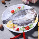 Frais à frais, congeler trois, retirer le bar blanc de la banane, retirer les écailles, retirer les branchies, retirer les organes internes, le poisson frais, le poisson en haute mer, les fruits de mer, 3, retirer le bar blanc de la banane, 2100g (1050g * 2 paquets)