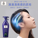 Ryo (Ryo) Men's Oil Control Anti-dandruff Conditioner Soothing Scalp Hair Care 400ml