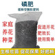 Yuntianhua Phosphate Fertilizer Granules Superphosphate General Flowering Fertilizer Household Fruit Tree Vegetable Green Plant Compound Fertilizer 100 Jin Jin equals 0.5 kg Phosphate fertilizer (high concentration) 5 Jin Jin equals 0.5 kg