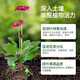 Urea fertilizer for growing vegetables, organic fertilizer, quick-acting nitrogen fertilizer, chemical fertilizer, general compound fertilizer for flowers, special water-soluble fertilizer for agriculture, large particle urea 10Jin, Jin is equal to 0.5kg