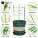 
Nine Thousand Valley Plant Climbing Brackets Steel Pipe Flower Pots Vines Flower Frame Rose Grape Fixed Raspberry Grape Fixed Rack 75cm4641