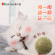 Crazy Puppy Beauty Cat Toy Cat Mint Lollipop Cat Snacks Teeth Cleaning and Molar Stick Wood Tianli Cat Funny Cat Stick Cat Toy