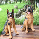 Yue Jixiang Simulation Dog Ornaments Garden Decorations Lucky New Year Lucky Dog Golden Retriever Sculpture Crafts 6001 Sitting Extra Large German Shepherd (Height 0.89 Meters)