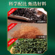 北京同仁堂青钱柳玉米须桑叶茶降搭葛根血糖霜后压脂药尿酸菊花 1罐 150g 玉米须桑叶搭降糖三高茶