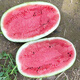 Beishu Lazy Man Watermelon Seed Seedlings Giant Extra Large Super Sweet Fruit Seed Lazy Man Watermelon Seeds About 50