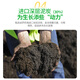 Modified Hualeduo succulent soil special granular soil 70% succulent nutrient soil paving stone seedlings into old piles general type 5Jin Jin equals 0.5 kg