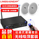 Lingheng Wireless Bluetooth-Verstärker aktiver Deckenlautsprecher Wandmontage Audio Audo Outdoor wasserdichte Sound Lautsprecher Set Einkaufszentrum Restaurant Supermarkt Hintergrund Musik Broadcast System Wireless Sender Host + 2 My-ls601 Wireless Decke