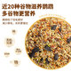Fishing expert special food for cockatiels 1200g luxury mixed parrot feed nutrition full price bird food feed new yellow millet