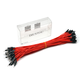 Throwing stones 1P rehearsal Dupont wire 26AWG silicone insulated wire High temperature resistant electronic wire Experimental supplies 100 wires in a bundle 20cm wire length 100 pieces/item Red 20cm male to female