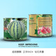 Zhongke Maohua melon and fruit seeds Zaojia Legend 8424 watermelon seeds