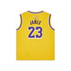 Nike (Nike) Offizielle Jungen Los Angeles Lakers LeBron James Ikon NBA Baby Jersey Fall HF7717 728 Amarillo Yellow 100 3t