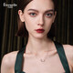 Eternelle French eternal summer necklace high-end design niche light luxury clavicle chain female birthday gift