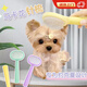 OUOETY Yorkshire comb special comb for puppies, hair pulling and knotting artifact, needle comb, hair knotting, puppy supplies, green mini needle comb + small face comb