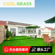 COOLGRASS Rooftop Simulated Artificial Lawn Insulation Sun Shade Sun Protection Silencer Sun Room Roof Terrace Outdoor Fake Lawn Carpet 2cm Special Density (1 Meter Width) Take a few pieces and send them to a few meters