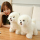 Yilefang Plüsch Spielzeughund Bichon Hund Rag Puppe süße Hund Puppe Mädchen Ornament Dekoration Ragdoll Hund aus weißer Länge 35 cm, Höhe 28 cm