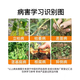 30% metalaxalin soil disinfectant and fungicide pesticide, special medicine for root rot, damping-off and damping-off 1000g