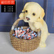 Ornaments for putting keys, storage box for putting keys, ornaments for putting keys, light luxury dog ​​storage ornaments, creative artist, cute pet-Labrador