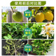 Stanley Stanley Compound Fertilizer Universal Vegetable Agricultural Flower Fertilizer Planting Vegetables Organic Fertilizer Green Plant Potted Nitrogen Phosphorus Potassium Fertilizer Universal Compound Fertilizer 1Jin Jin is equal to 0.5 kg