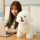 Yilefang Plüsch Spielzeughund Bichon Hund Rag Puppe süße Hund Puppe Mädchen Ornament Dekoration Ragdoll Hund aus weißer Länge 35 cm, Höhe 28 cm