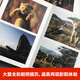 狮子王 The Lion King 迪士尼大电影双语阅读 电影同名英汉双语小说（赠英文音频、电子书及核心词讲解）