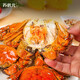 Live crabs Su Zhuangyuan fresh hairy crabs in stock all male crabs 5.0-5.3 taels 8 fresh crabs with ropes and heavy seafood gift boxes sent directly from the source