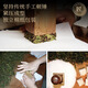 七春 茶叶漳平水仙乌龙茶 2025年新茶兰花香冷泡浓香袋装250g自己喝