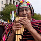 Ouyin Panflute Peruanische Indianer 23 Notizen 19 Notizen 13 Notizen Einreihe Doppelreihe Erwachsener Student Inca Folk Instrument Level Single Rohr 25 Röhrchen C -Melodie