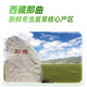 圣迪康藏2025年西藏那曲野生头茬新鲜冬虫夏草滋补品礼品 【顺丰空运】 1.2克/根  10根装