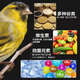 Chaoge bird grain bird grain oriole feed tiger-headed phoenix bird jade-eating bird hibiscus bird grain bird feed grosbeak grain-eating bird feed full price parrot grain 500g I bag