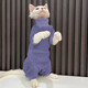 秋冬装打底无毛猫衣服斯芬克斯卫衣复古猫咪可爱小型宠物衣服潮牌