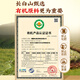 Beijing Tongrentang Father's Day Gift Ganoderma lucidum spore powder spore powder breaks the wall to enhance immunity middle-aged and elderly people give gifts to elders. Gifts are more atmospheric. Gift boxes [1 box]