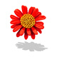 Kalevin sunflower brooch niche exquisite chrysanthemum collar pin clothes decoration pin gift gfn white gtrd