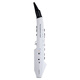 
Roland (Roland) AE01 electric hair tube electric saxophone comes with its own sound source national tone ae05c electronic wind music Roland AE01C standard + rechargeable battery + gift bag