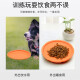 Hanhan Paradise Dog Frisbee L size 22cm in diameter pet toy bite-resistant and molar dog training toy Labrador dog training dog training supplies orange double-sided Frisbee