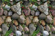 Clcey Dreidimensional Simulation Ziegelstein Stein Tapete Selbstklebbares Café Restaurant Wandrock Restaurant Renovierung Dekoration wasserdichte Wand 1098 Bücherregal/45 cm Breite*10 Meter lang Tapete nur