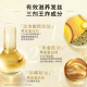 欧莱雅奇焕垂顺精油洗发水大金瓶洗发露440ml(柔顺无硅油)